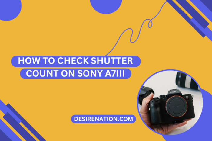 How To Check Shutter Count On Sony A Iii Desire Nation