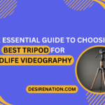 Best Tripod for Wildlife Videography