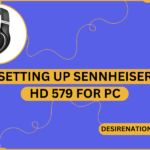 Setting Up Sennheiser HD 579 for PC