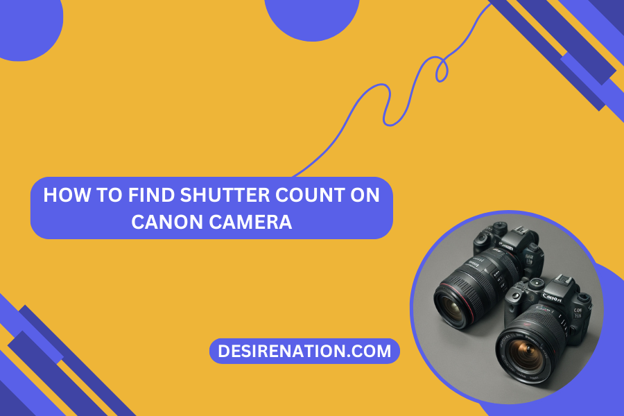How To Find Shutter Count On Canon Camera
