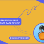 HIFIMAN Sundara Closed Back Review