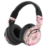 Skullcandy Hesh 2